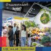 บ้านและสวนแฟร์ Midyear2025