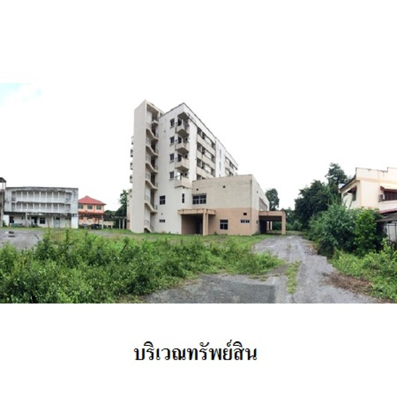 อื่นๆ อุตรดิตถ์ เมืองอุตรดิตถ์ ป่าเซ่า 35580000