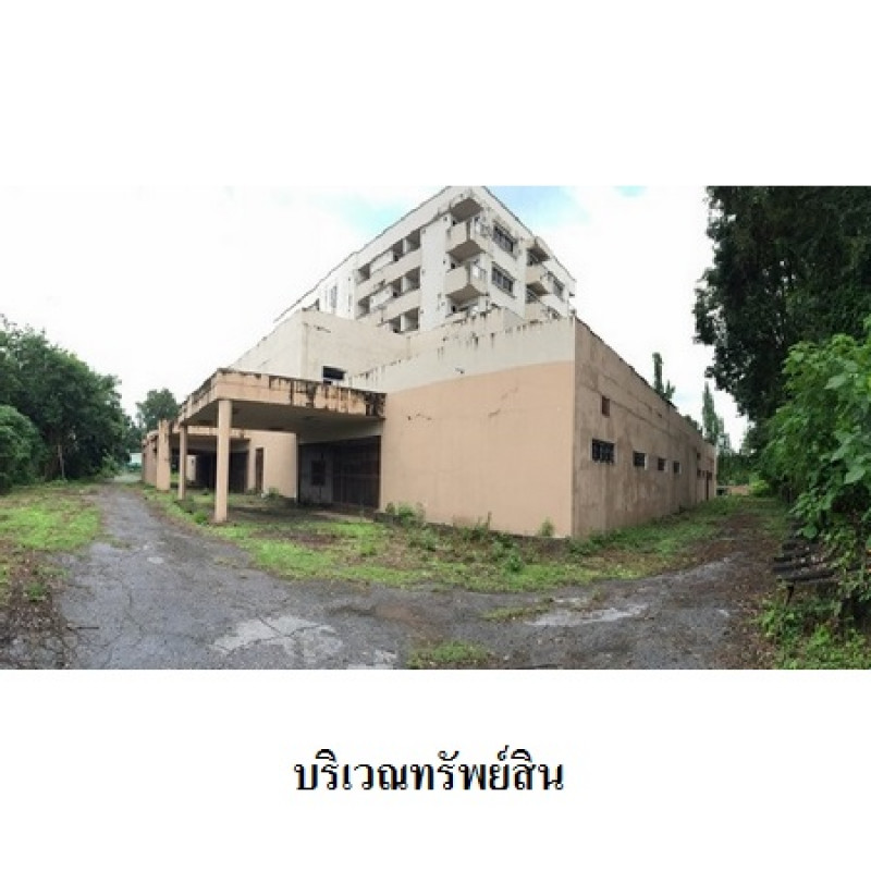 อื่นๆ อุตรดิตถ์ เมืองอุตรดิตถ์ ป่าเซ่า 35580000