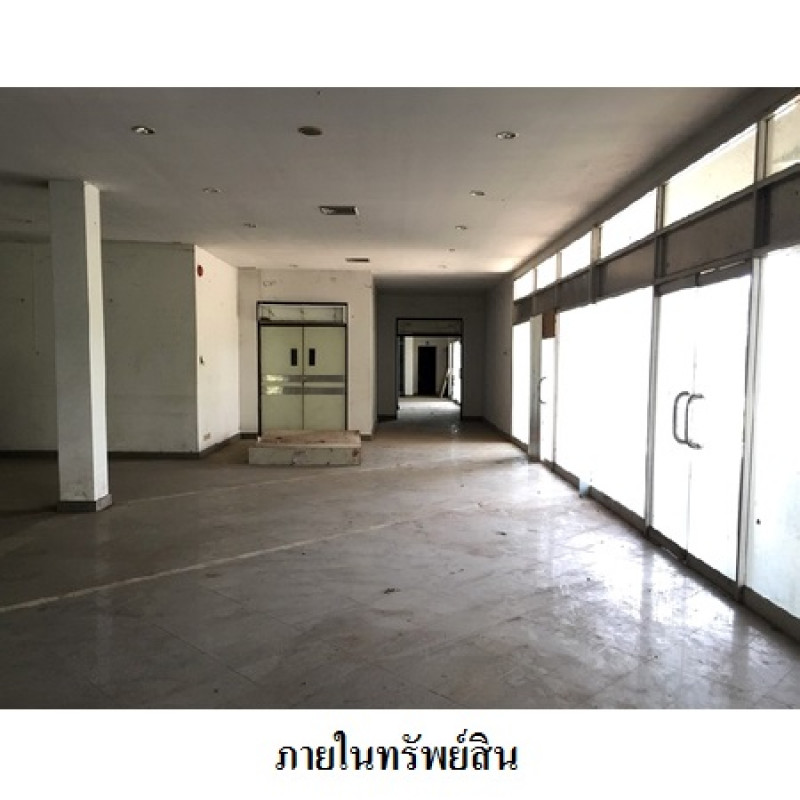อื่นๆ อุตรดิตถ์ เมืองอุตรดิตถ์ ป่าเซ่า 35580000