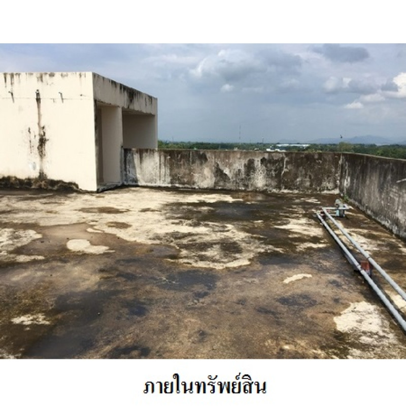 อื่นๆ อุตรดิตถ์ เมืองอุตรดิตถ์ ป่าเซ่า 35580000