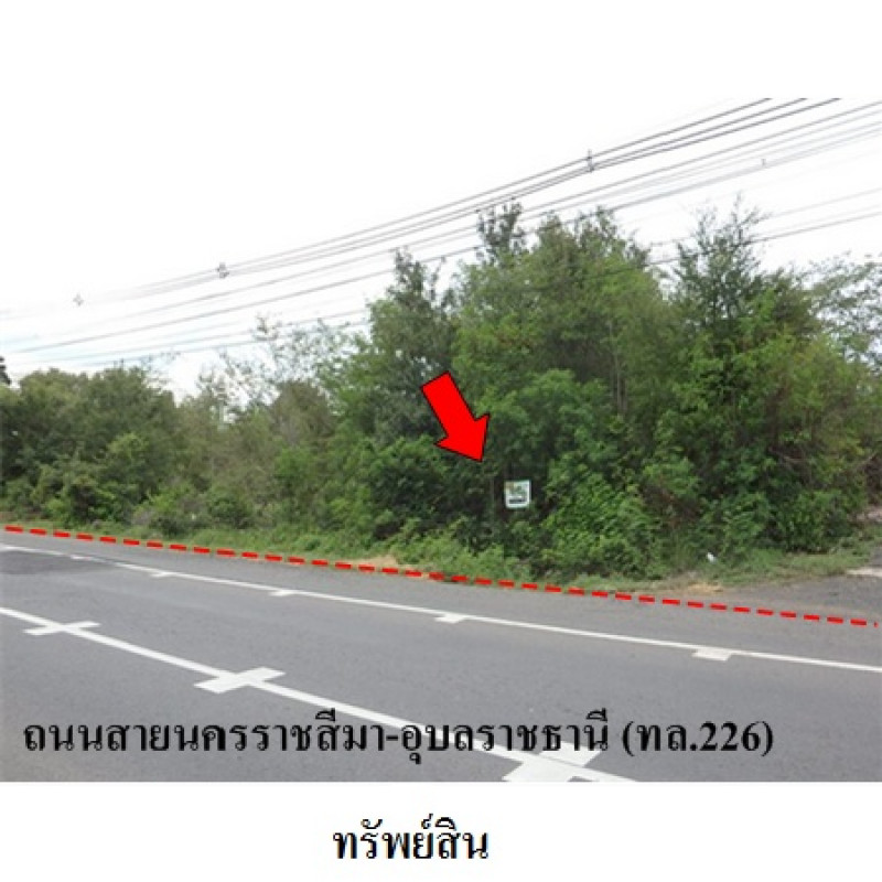 ที่ดินเปล่า บุรีรัมย์ ลำปลายมาศ หนองคู 5620000