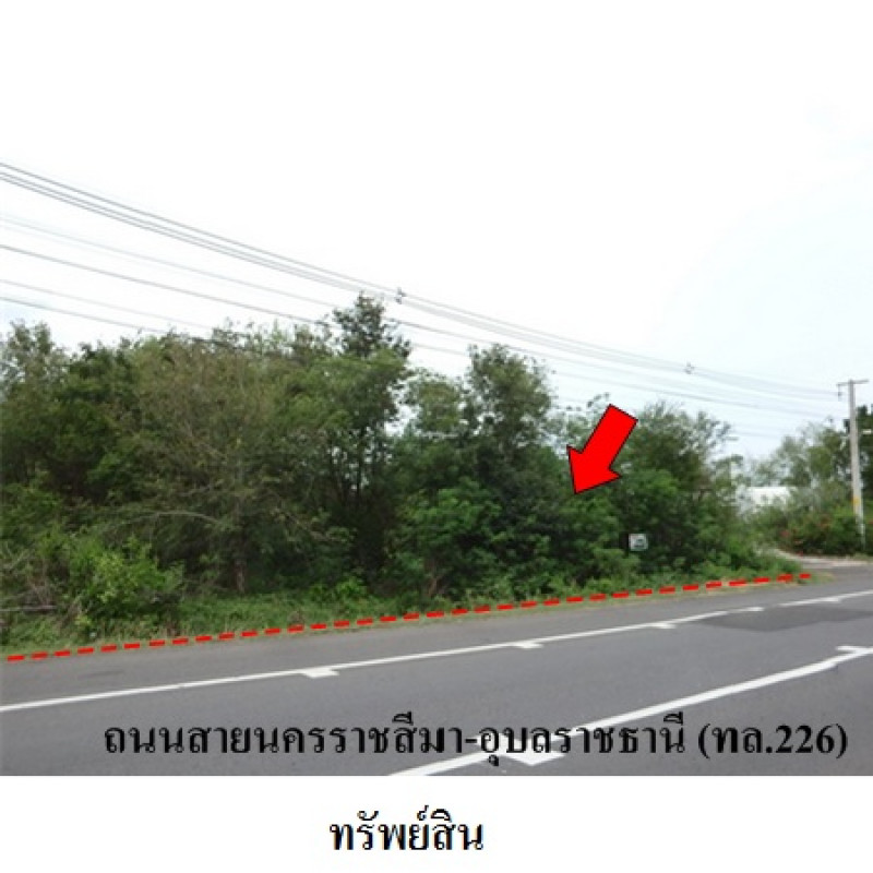 ที่ดินเปล่า บุรีรัมย์ ลำปลายมาศ หนองคู 5620000