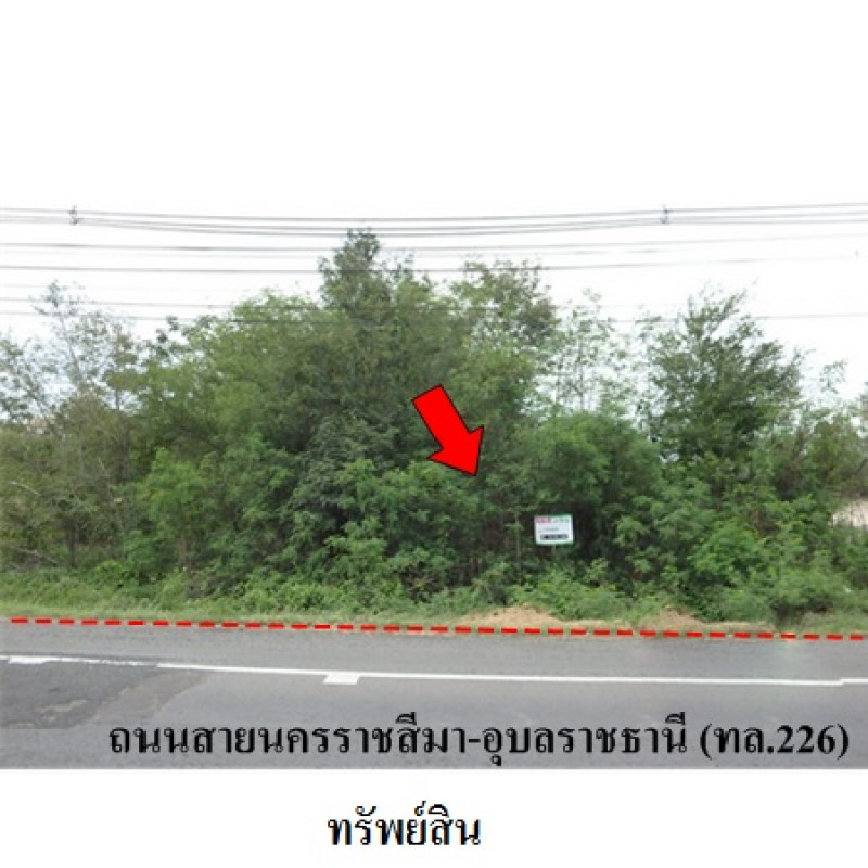 ที่ดินเปล่า บุรีรัมย์ ลำปลายมาศ หนองคู 5620000