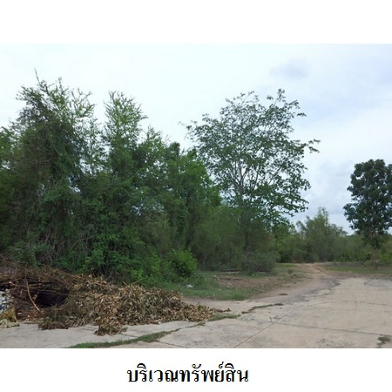 ที่ดินเปล่า บุรีรัมย์ ลำปลายมาศ หนองคู 5620000