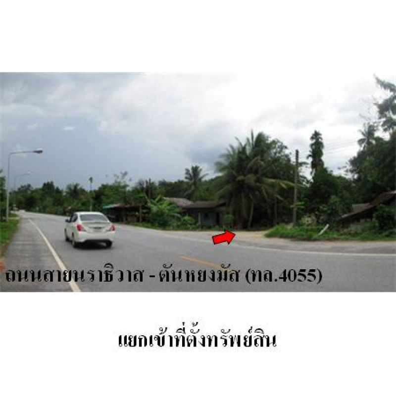ที่ดินเปล่า นราธิวาส ระแงะ ตันหยงมัส 139000