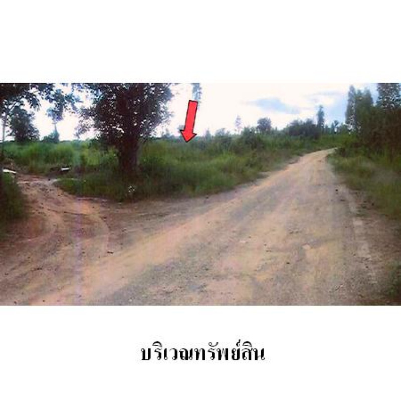 ที่ดินเปล่า ชัยภูมิ เมืองชัยภูมิ โคกสูง 24056700