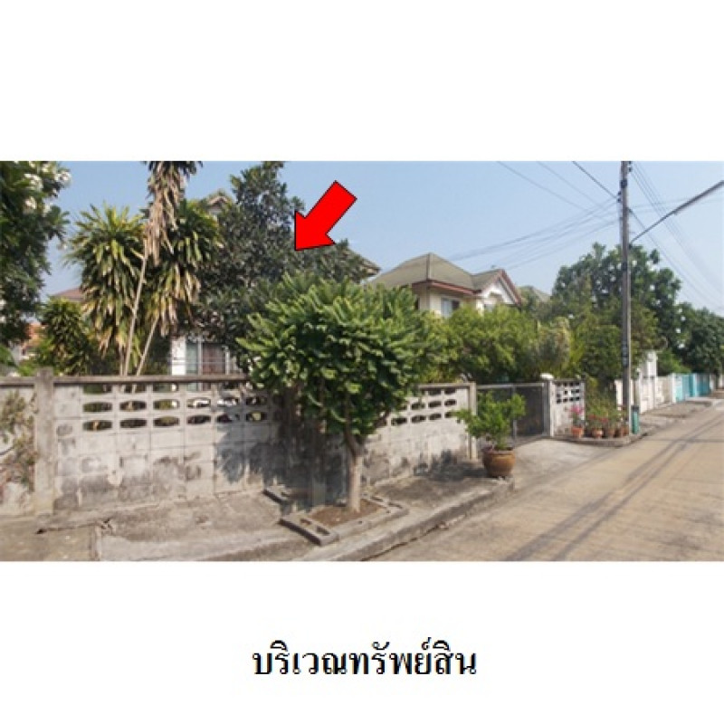 บ้านเดี่ยว สัมมากร คลอง 7 ปทุมธานี ธัญบุรี ลำผักกูด 3100000
