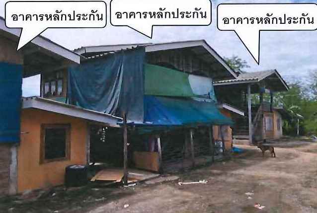 บ้านเดี่ยว ปราจีนบุรี กบินทร์บุรี ลาดตะเคียน 0