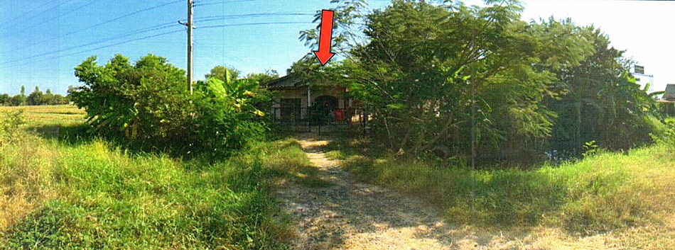 บ้านเดี่ยว นครราชสีมา ประทาย โคกกลาง 1035000