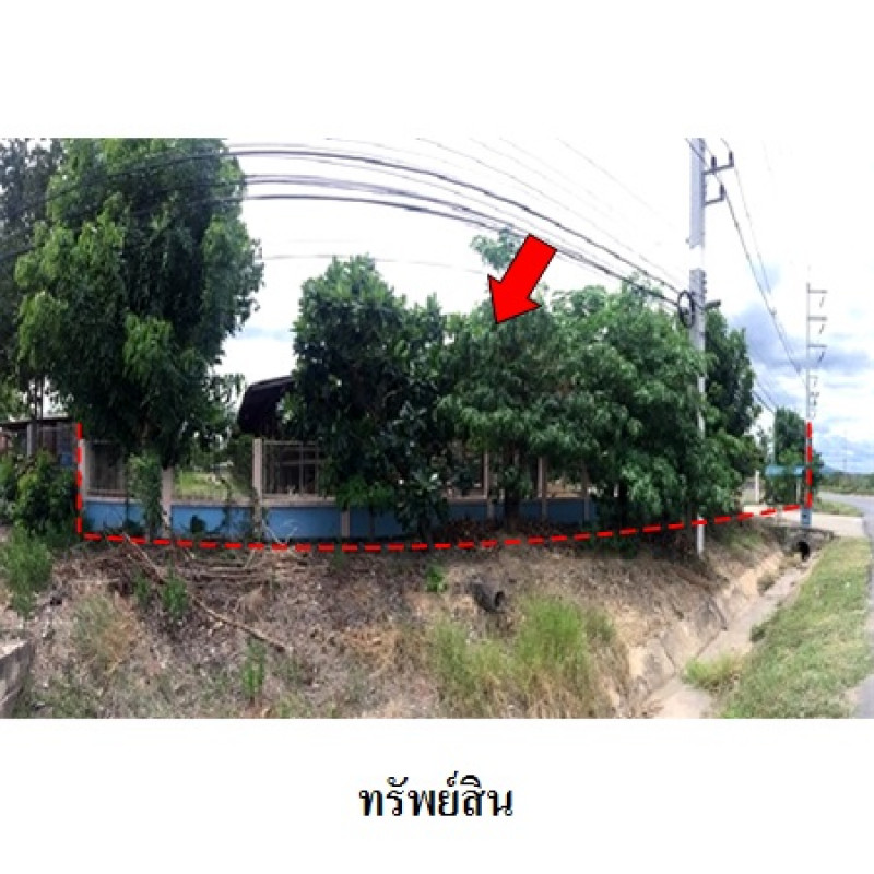 โรงงาน/โกดัง ลำพูน บ้านโฮ่ง เหล่ายาว 5800000