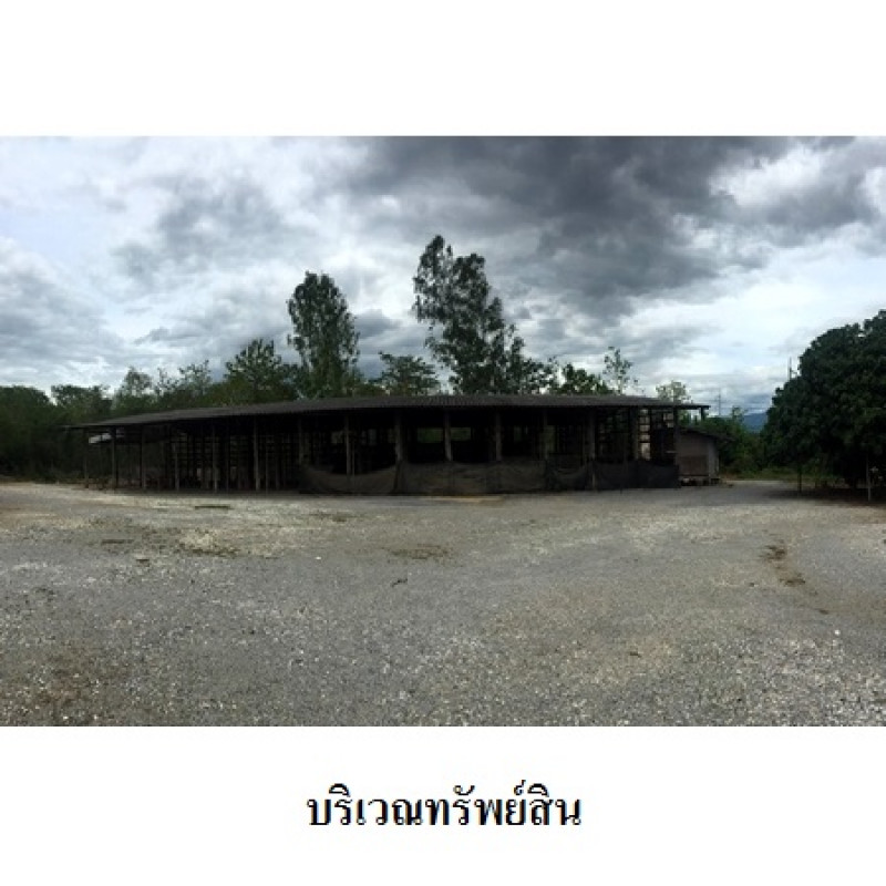 โรงงาน/โกดัง ลำพูน บ้านโฮ่ง เหล่ายาว 5800000