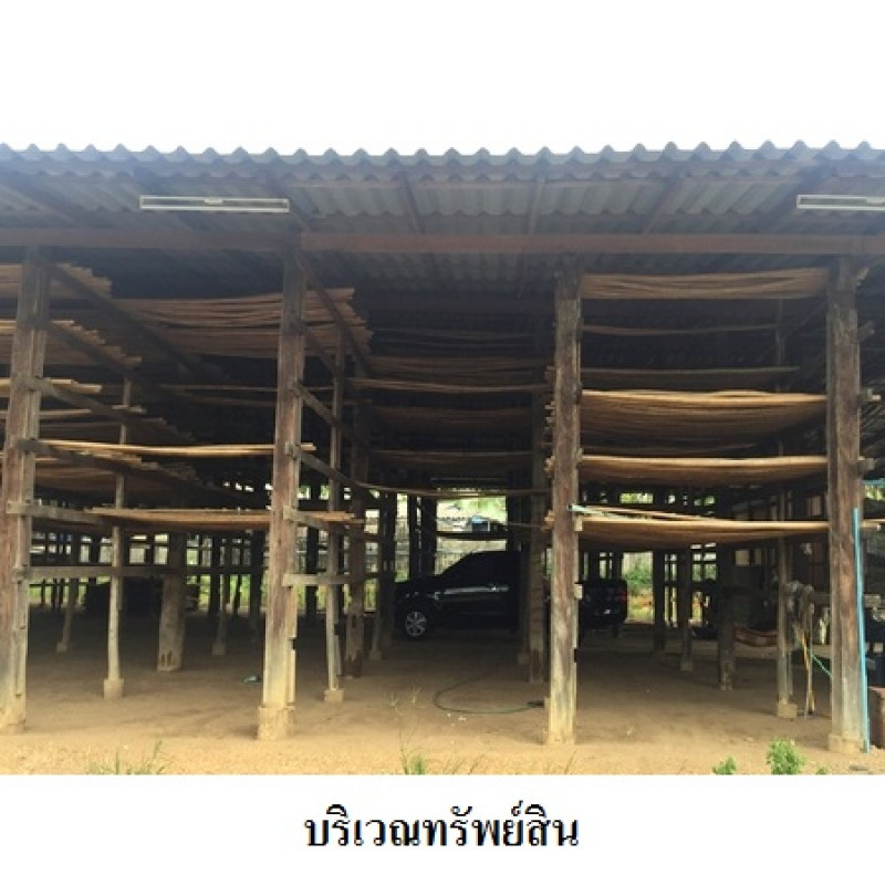 โรงงาน/โกดัง ลำพูน บ้านโฮ่ง เหล่ายาว 5800000