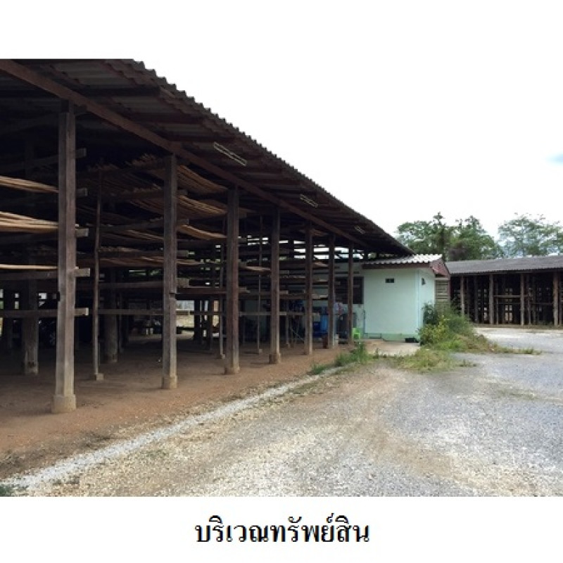 โรงงาน/โกดัง ลำพูน บ้านโฮ่ง เหล่ายาว 5800000