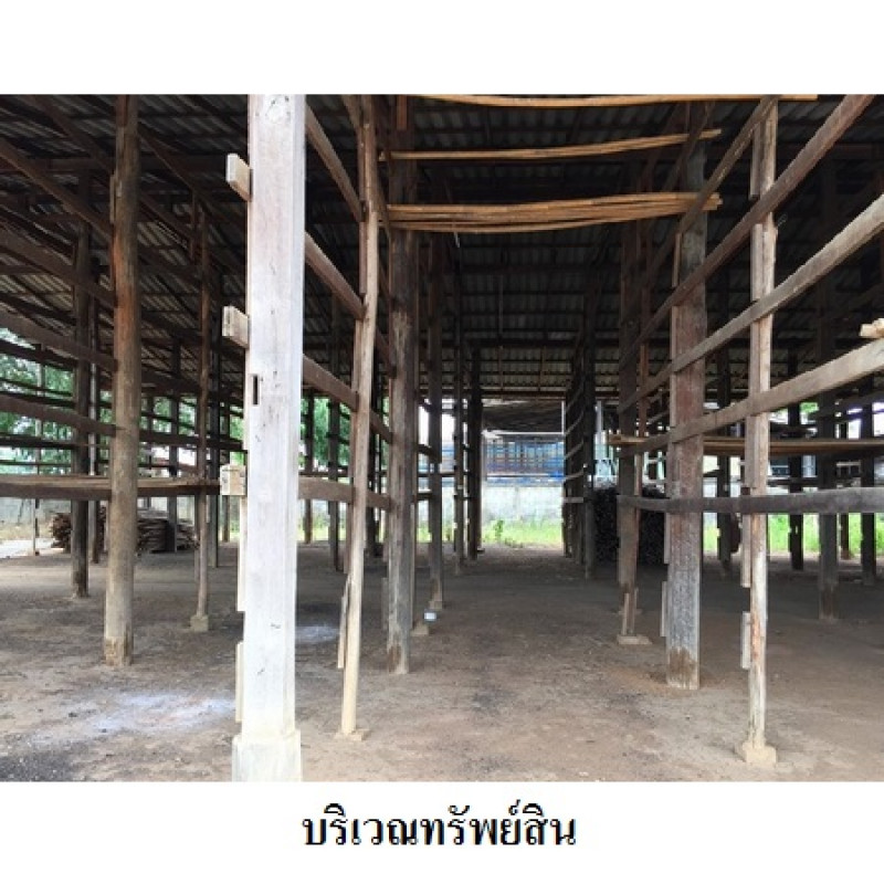 โรงงาน/โกดัง ลำพูน บ้านโฮ่ง เหล่ายาว 5800000