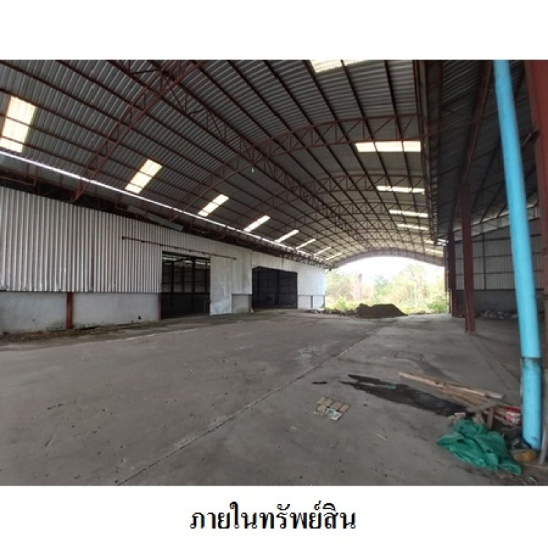 โรงงาน/โกดัง เลย ท่าลี่ อาฮี 20230000