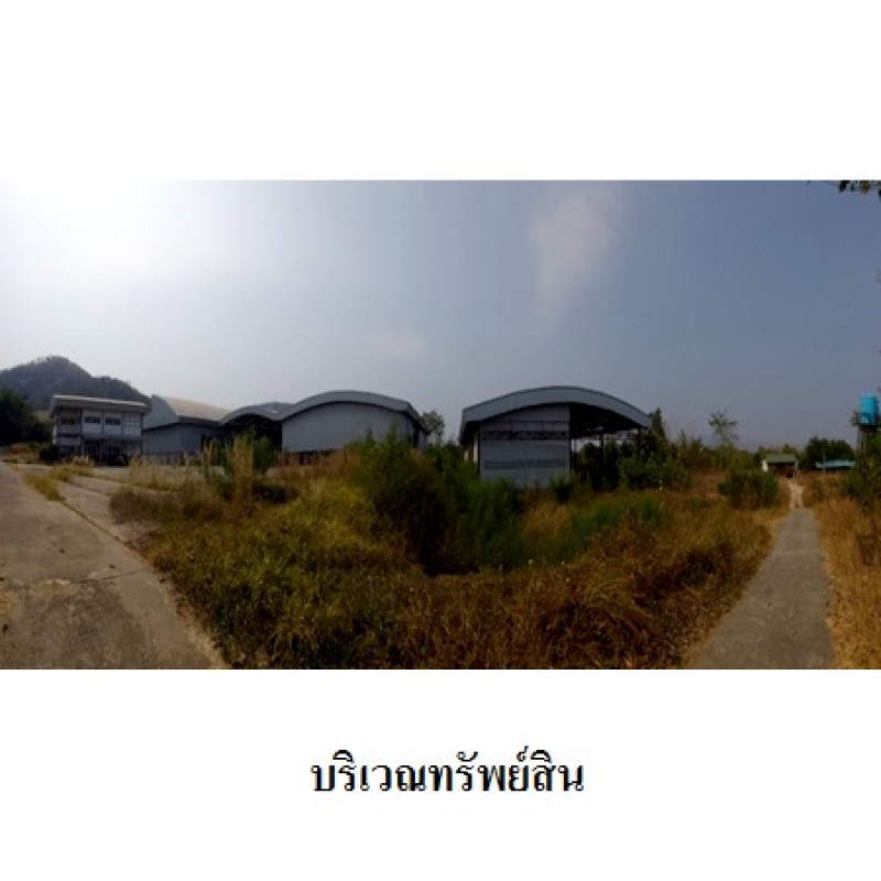 โรงงาน/โกดัง เลย ท่าลี่ อาฮี 20230000