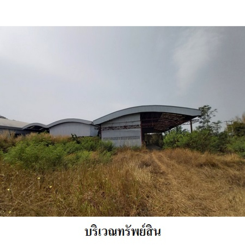 โรงงาน/โกดัง เลย ท่าลี่ อาฮี 20230000