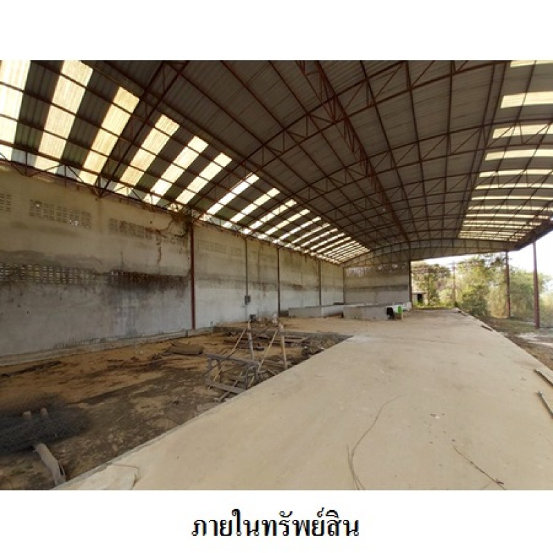 โรงงาน/โกดัง เลย ท่าลี่ อาฮี 20230000