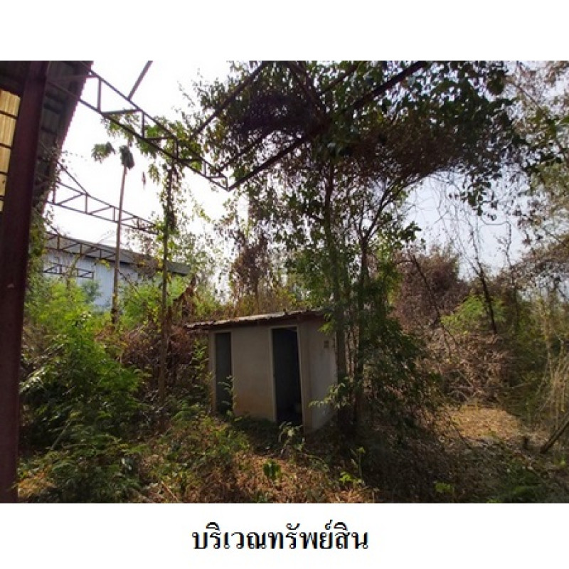 โรงงาน/โกดัง เลย ท่าลี่ อาฮี 20230000