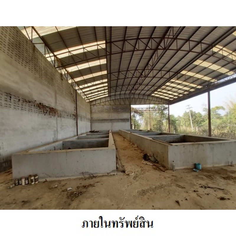 โรงงาน/โกดัง เลย ท่าลี่ อาฮี 20230000