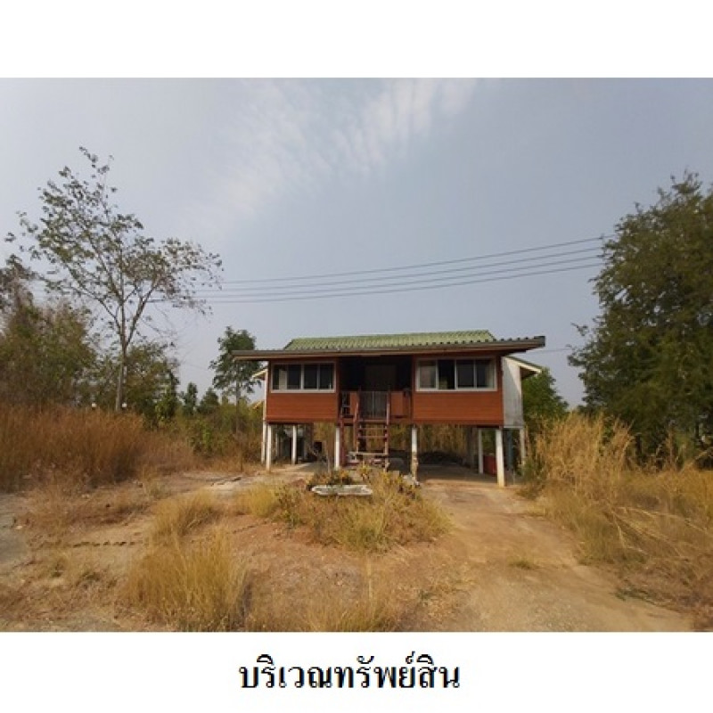 โรงงาน/โกดัง เลย ท่าลี่ อาฮี 20230000