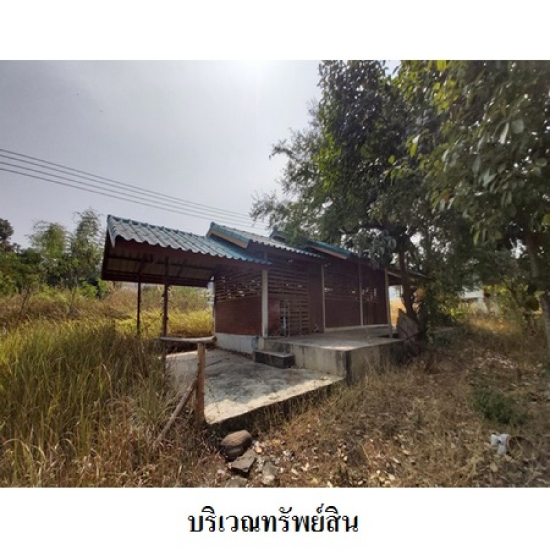 โรงงาน/โกดัง เลย ท่าลี่ อาฮี 20230000