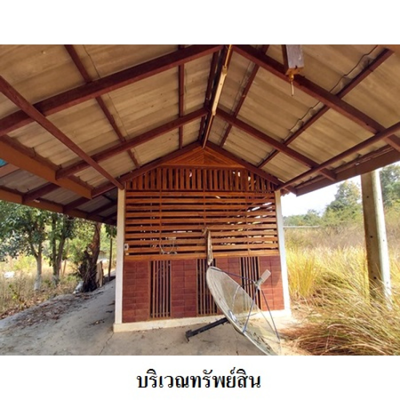 โรงงาน/โกดัง เลย ท่าลี่ อาฮี 20230000