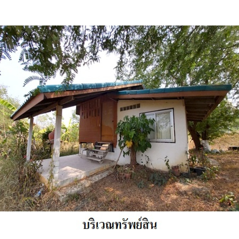 โรงงาน/โกดัง เลย ท่าลี่ อาฮี 20230000