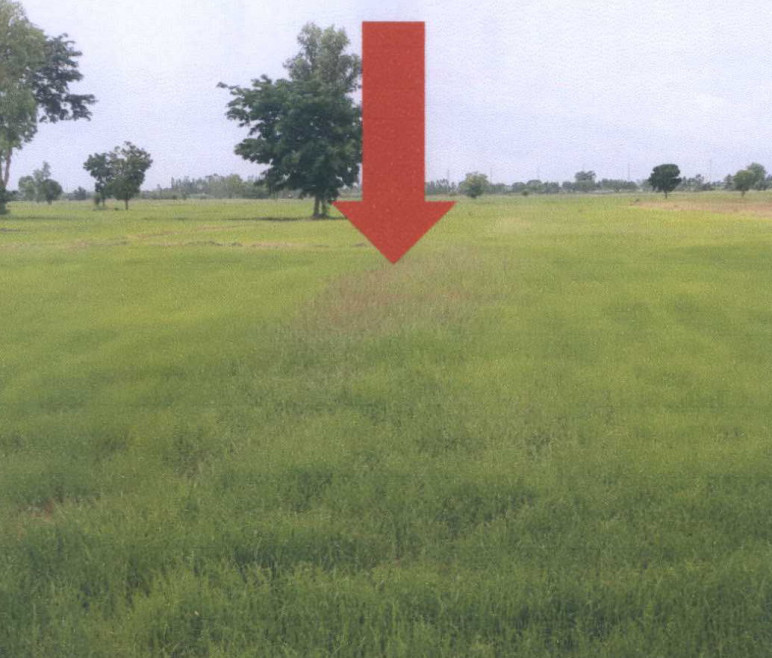 ที่ดินเปล่า นครสวรรค์ ท่าตะโก ดอนคา 1695564