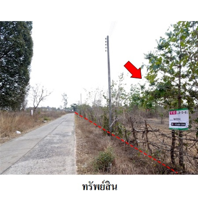 ที่ดินเปล่า อุบลราชธานี พิบูลมังสาหาร กุดชมภู 7619000