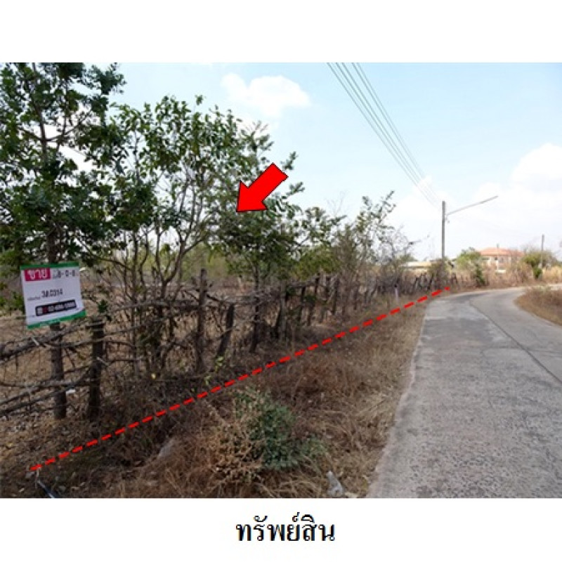 ที่ดินเปล่า อุบลราชธานี พิบูลมังสาหาร กุดชมภู 7619000