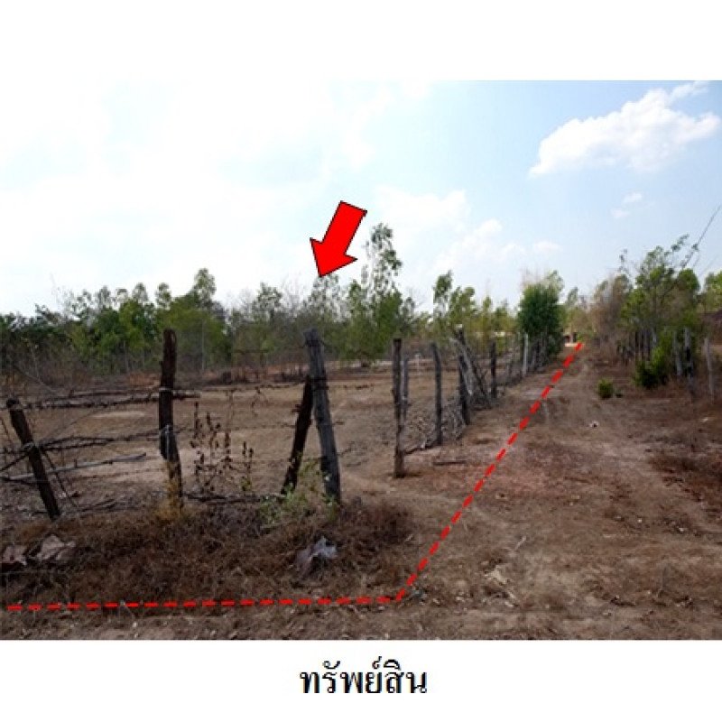 ที่ดินเปล่า อุบลราชธานี พิบูลมังสาหาร กุดชมภู 7619000