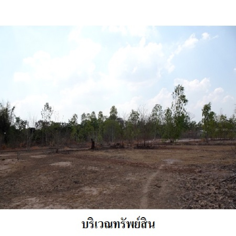 ที่ดินเปล่า อุบลราชธานี พิบูลมังสาหาร กุดชมภู 7619000