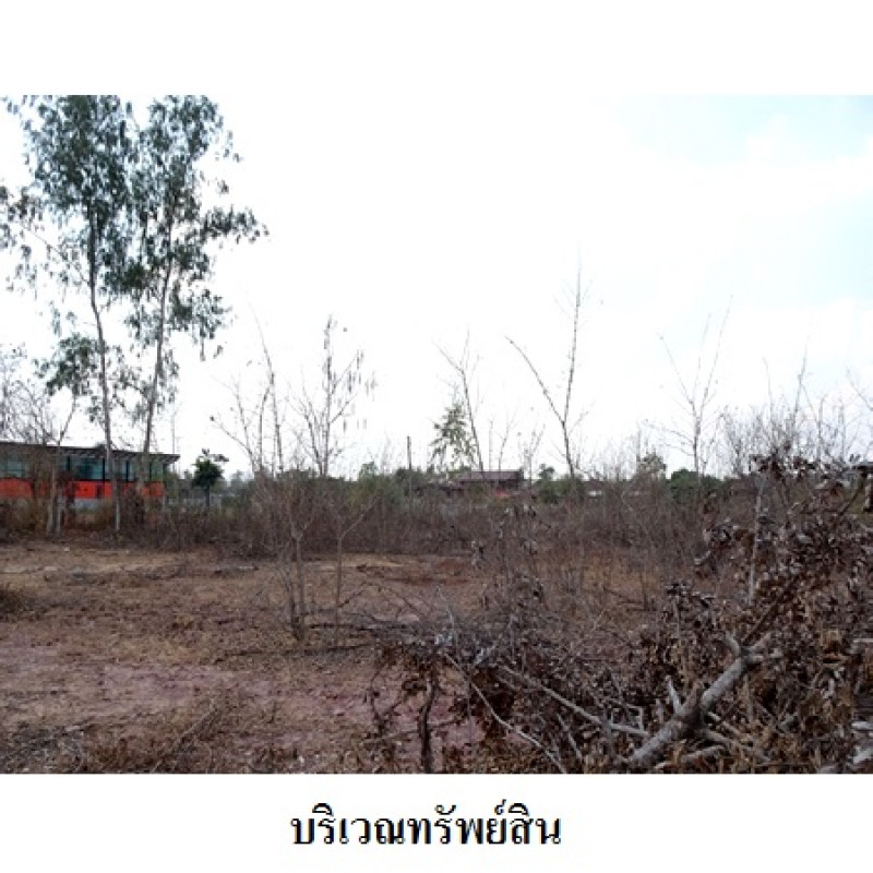 ที่ดินเปล่า อุบลราชธานี พิบูลมังสาหาร กุดชมภู 7619000