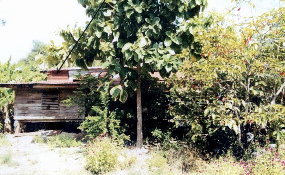 บ้านเดี่ยว นครสวรรค์ ลาดยาว บ้านไร่ 183500