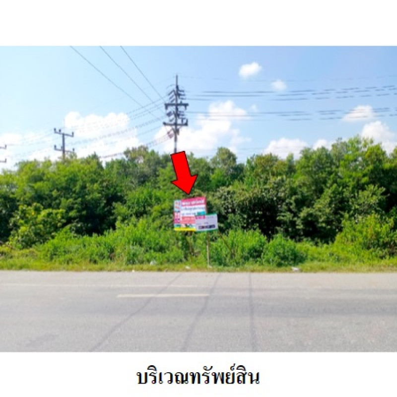 ที่ดินเปล่า สงขลา ระโนด ท่าบอน 3222000