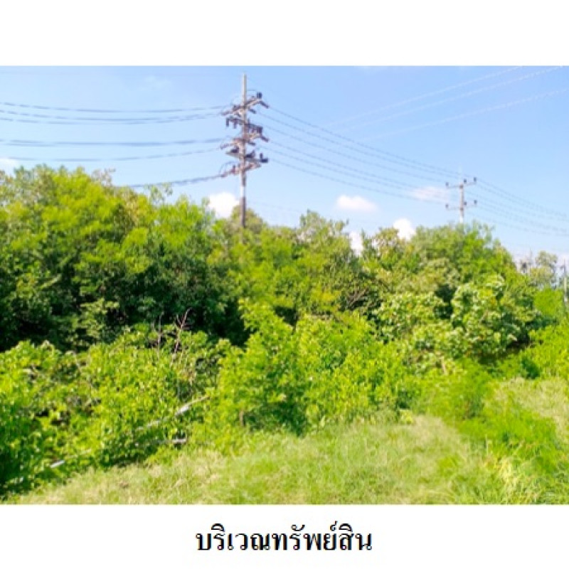 ที่ดินเปล่า สงขลา ระโนด ท่าบอน 3222000