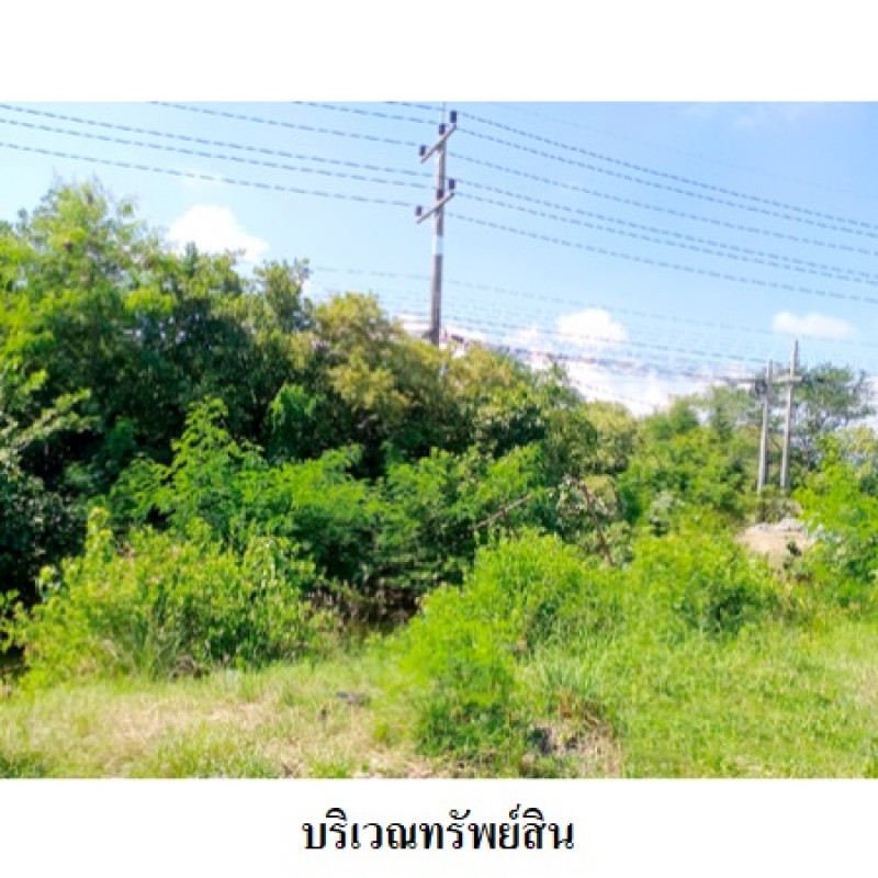 ที่ดินเปล่า สงขลา ระโนด ท่าบอน 3222000