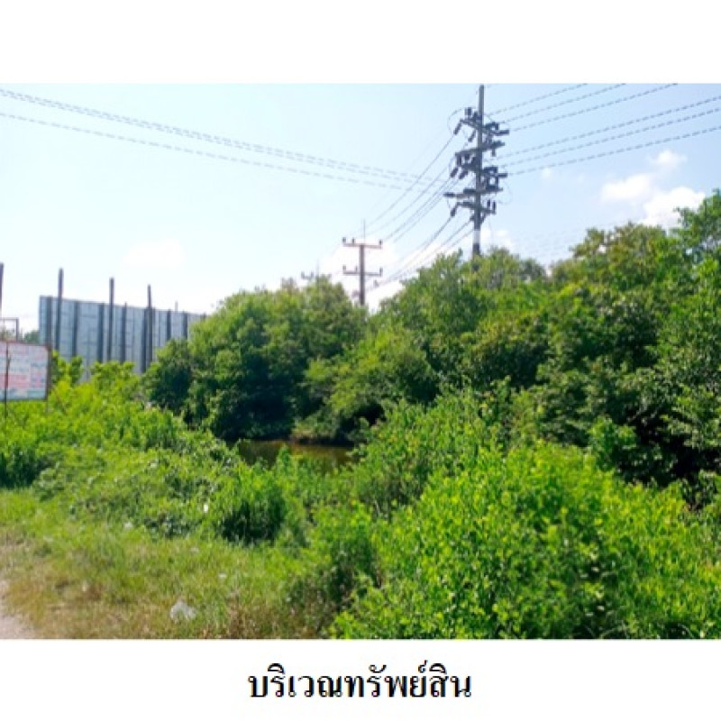 ที่ดินเปล่า สงขลา ระโนด ท่าบอน 3222000