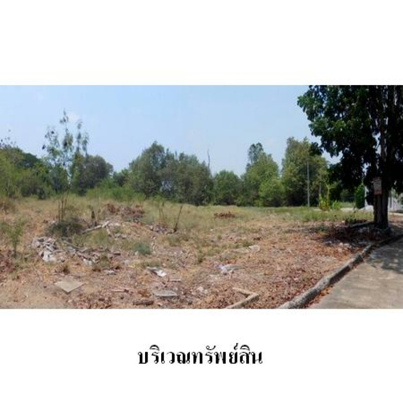 ที่ดินเปล่า ธานนท์ กอล์ฟวิว แอนด์ สปอร์ตคลับ กรุงเทพมหานคร คลองสามวา ทรายกองดิน 53901000