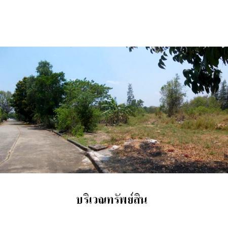 ที่ดินเปล่า ธานนท์ กอล์ฟวิว แอนด์ สปอร์ตคลับ กรุงเทพมหานคร คลองสามวา ทรายกองดิน 53901000
