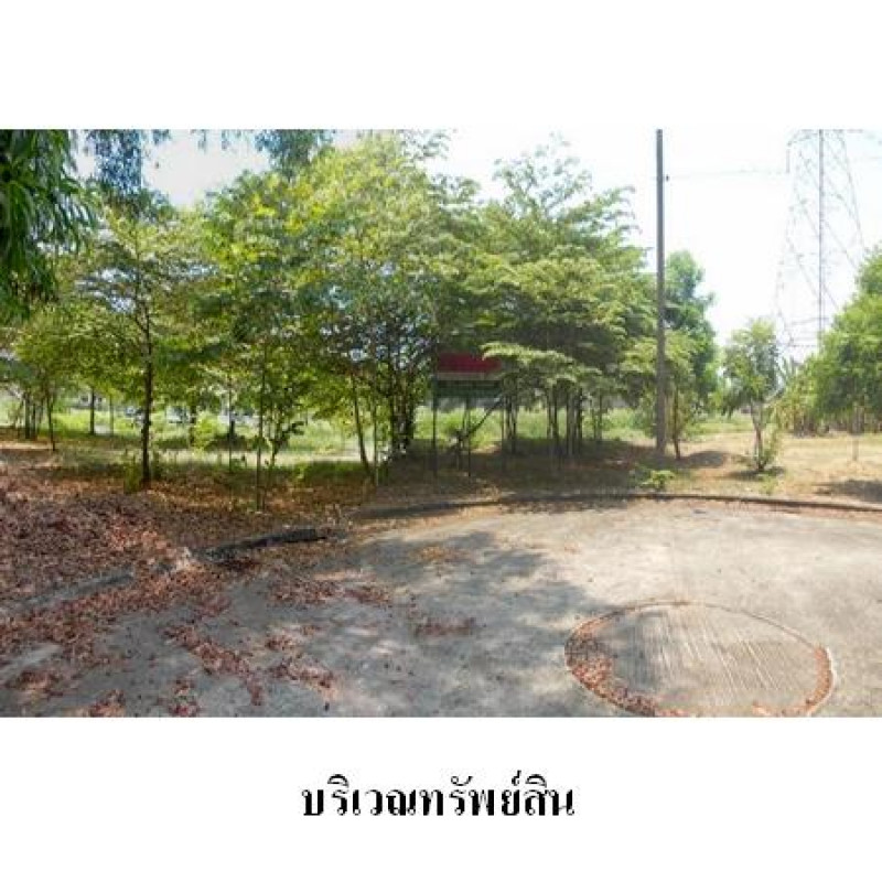 ที่ดินเปล่า ธานนท์ กอล์ฟวิว แอนด์ สปอร์ตคลับ กรุงเทพมหานคร คลองสามวา ทรายกองดิน 5500000
