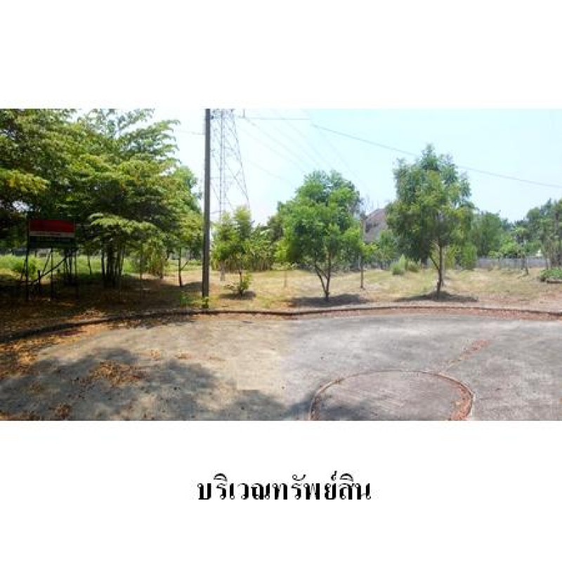 ที่ดินเปล่า ธานนท์ กอล์ฟวิว แอนด์ สปอร์ตคลับ กรุงเทพมหานคร คลองสามวา ทรายกองดิน 5500000