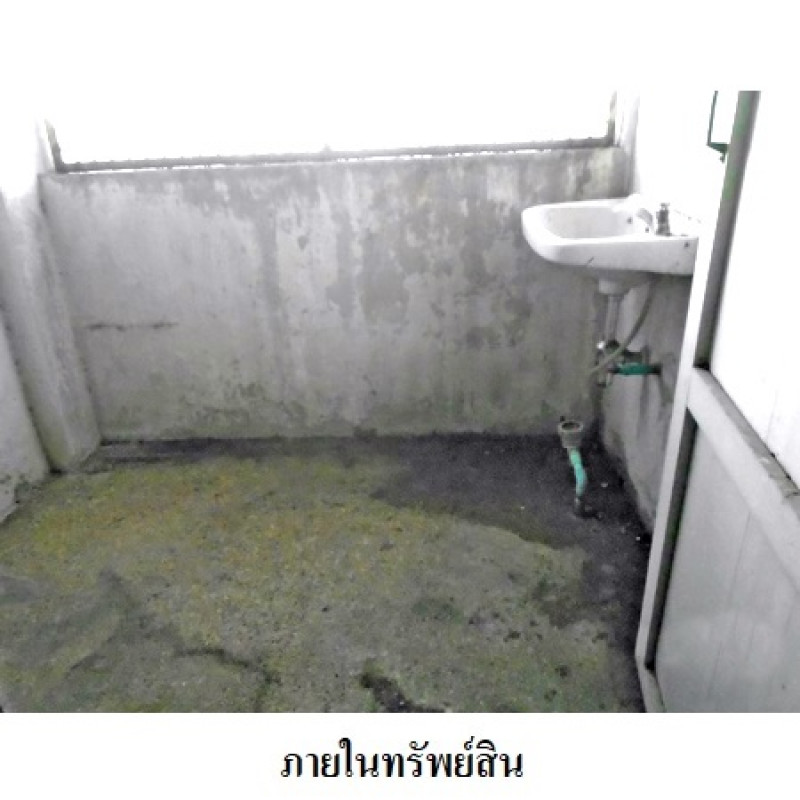 คอนโด เอ็ม.ที.คอนโมมิเนียม ปทุมธานี ธัญบุรี บึงยี่โถ 147000