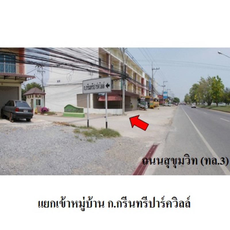 บ้านแฝด ก.กรีนทรีปาร์ควิลล์ ชลบุรี สัตหีบ พลูตาหลวง 1600000
