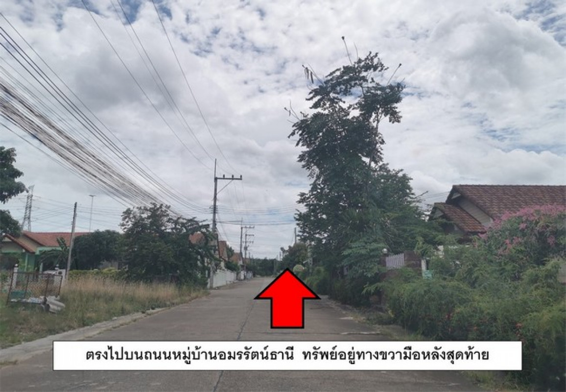 บ้านเดี่ยว ระยอง ปลวกแดง ปลวกแดง 2420000