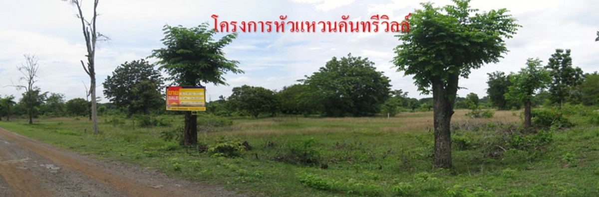 Residential land/lot Nakhon Ratchasima Chok Chai Thung Arun 208000