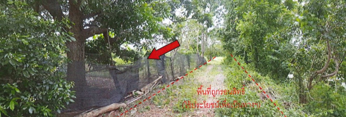 บ้านเดี่ยว นครราชสีมา ปักธงชัย ตะคุ 2053000