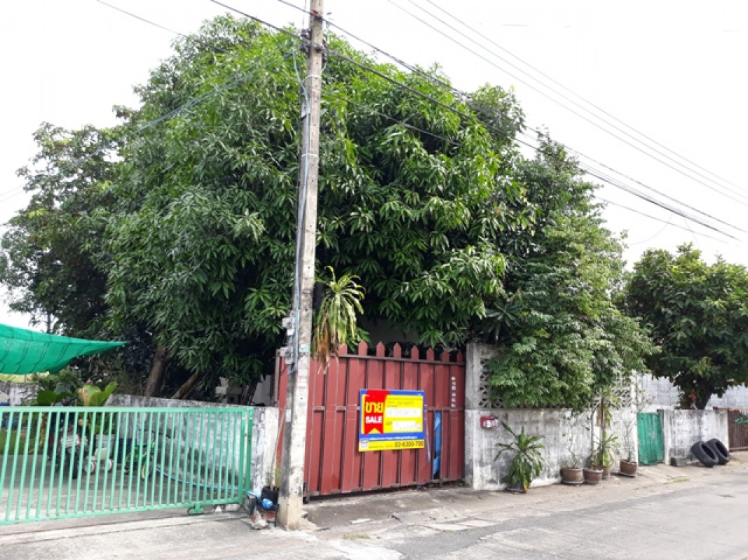 บ้านเดี่ยว ปทุมธานี ธัญบุรี ลำผักกูด 872000